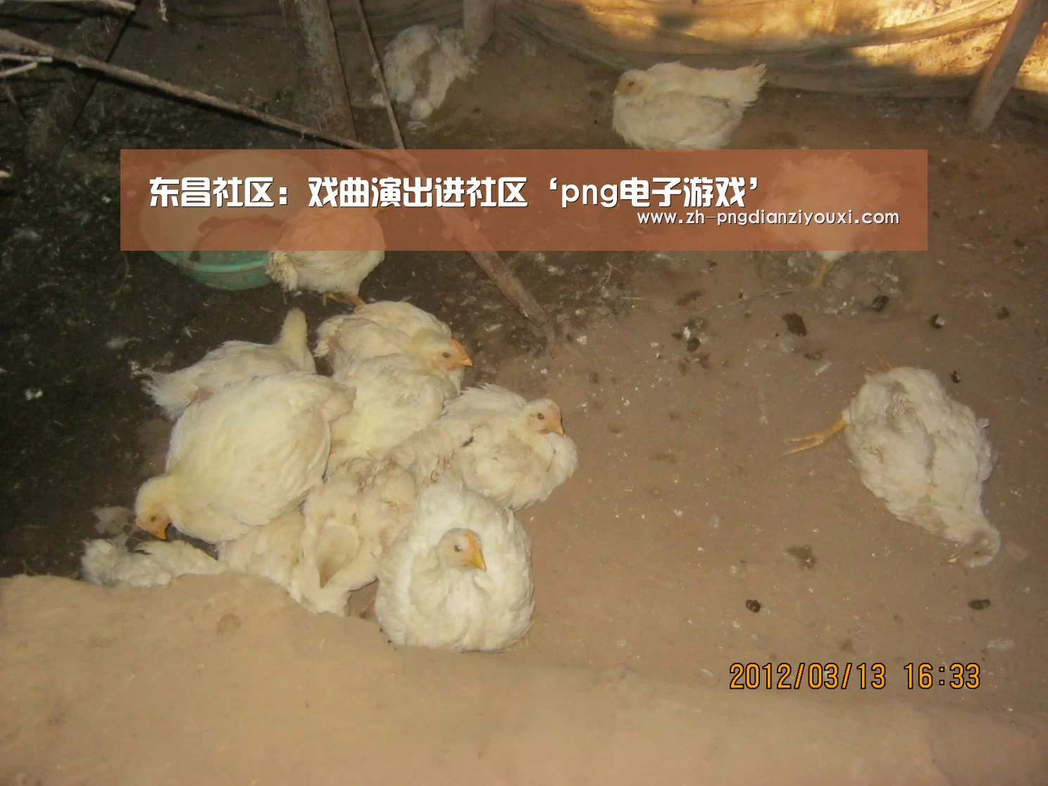 东昌社区:戏曲演出进社区‘png电子游戏’(图1) png电子游戏