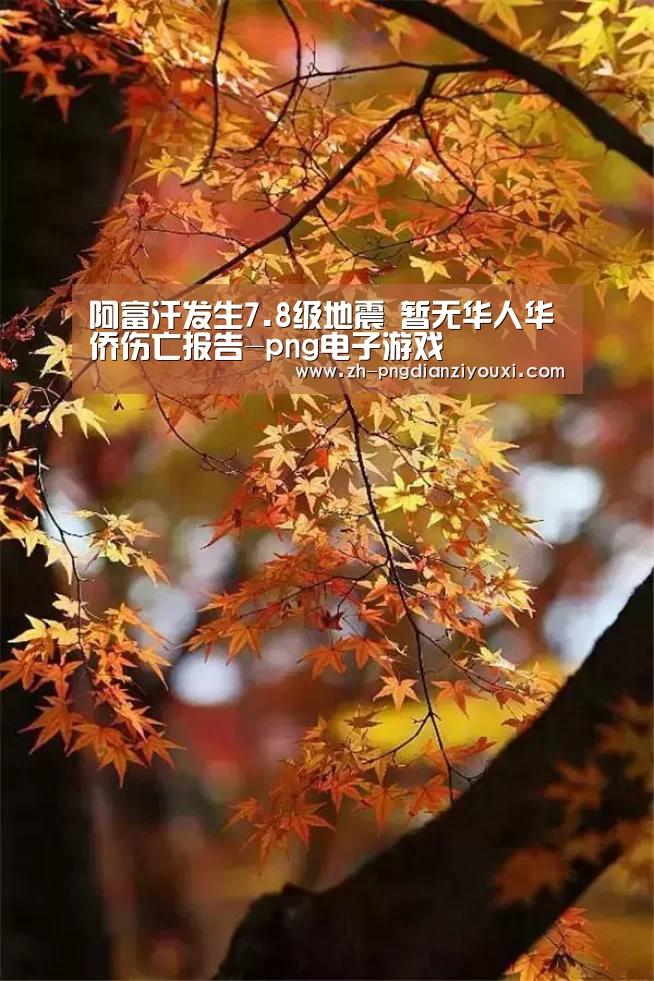 阿富汗发生7.8级地震 暂无华人华侨伤亡报告-png电子游戏(图4) png电子游戏