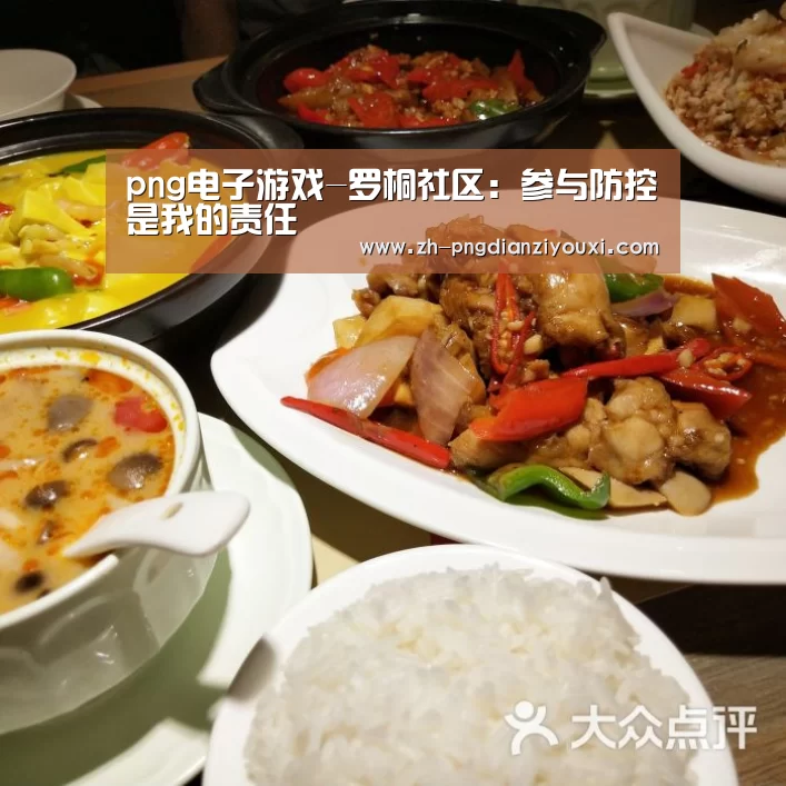 png电子游戏