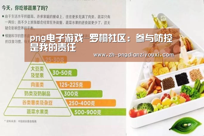 png电子游戏