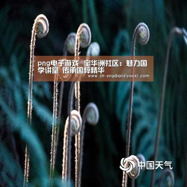 png电子游戏-宝华洲社区:魅力国学讲堂 传承国粹精华(图3) png电子游戏