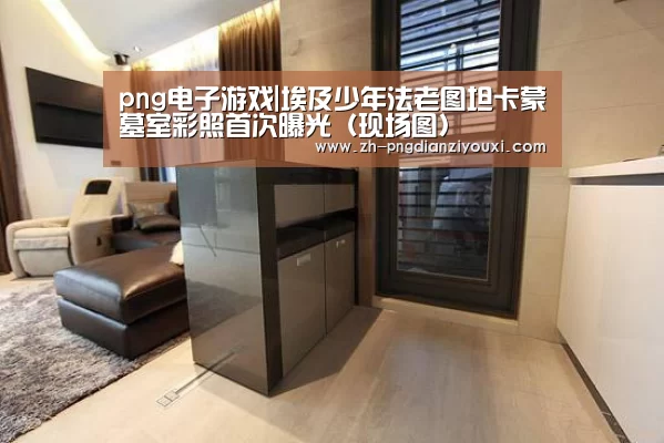 png电子游戏|埃及少年法老图坦卡蒙墓室彩照首次曝光(现场图)(图1) png电子游戏