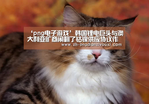 ‘png电子游戏’韩国锂电巨头与澳大利亚矿商闹翻了钴镍供应协议作废(图4) png电子游戏