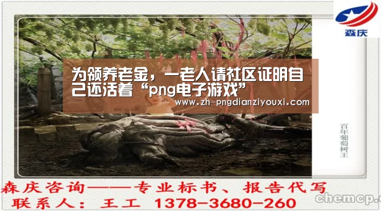 为领养老金,一老人请社区证明自己还活着“png电子游戏”(图1) png电子游戏