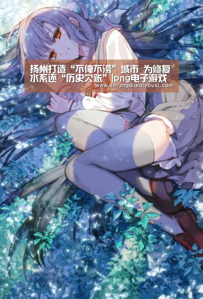 png电子游戏