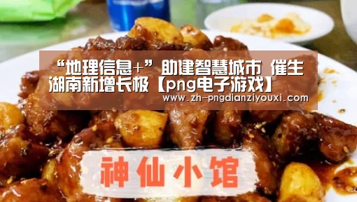 png电子游戏