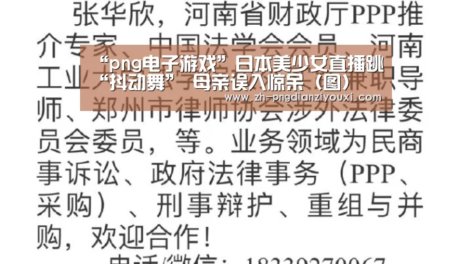png电子游戏