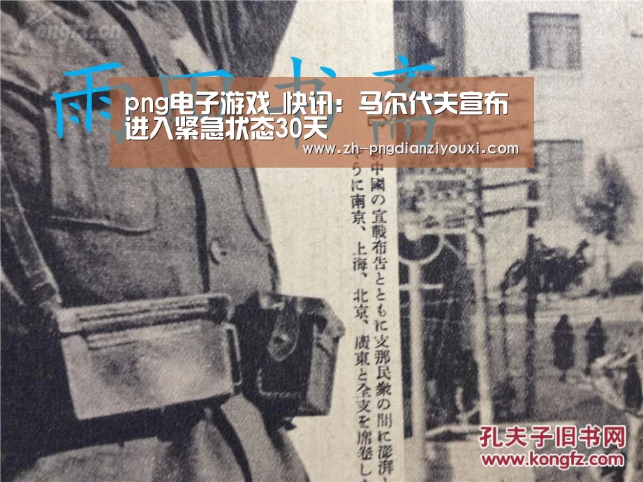 png电子游戏