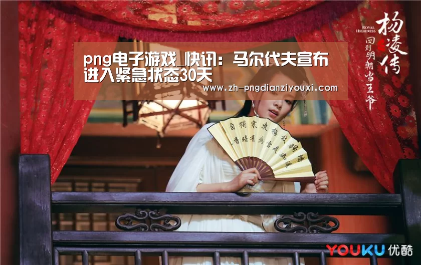 png电子游戏