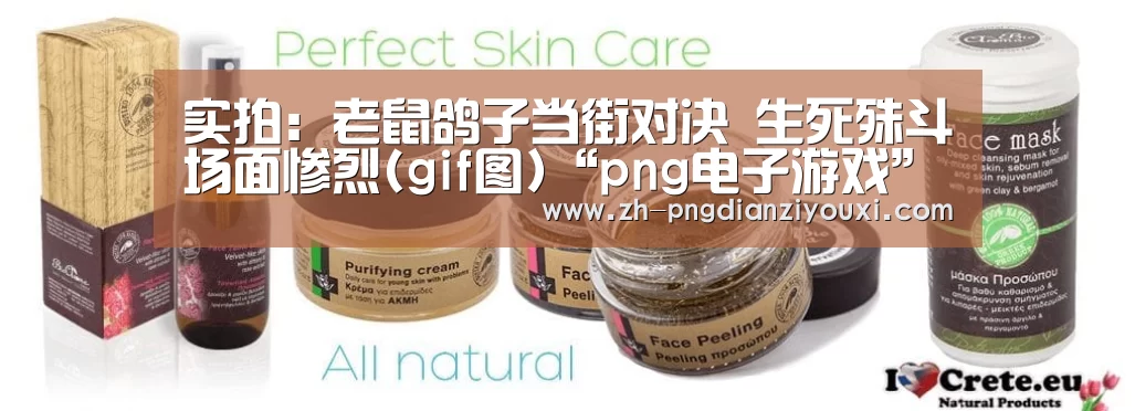 png电子游戏