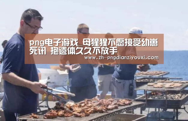 png电子游戏
