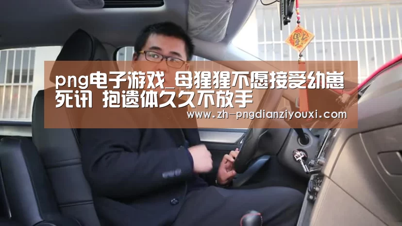 png电子游戏