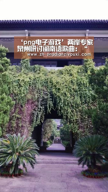 png电子游戏