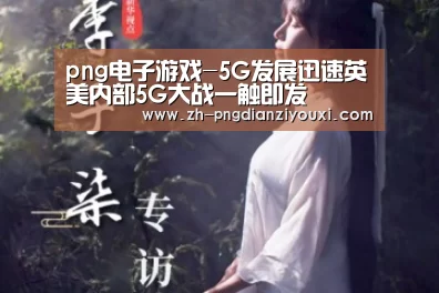 png电子游戏