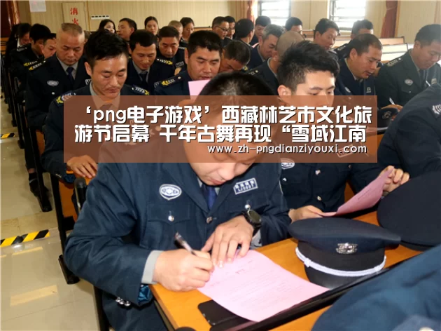 png电子游戏