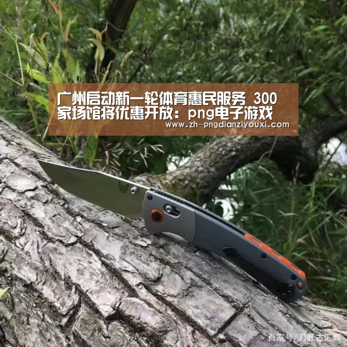 png电子游戏