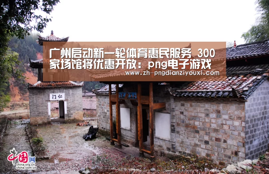 png电子游戏